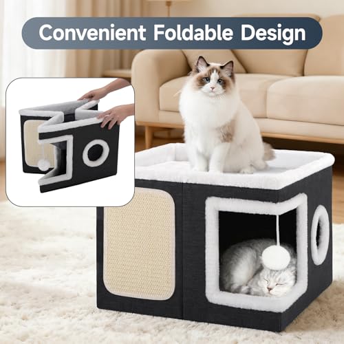 Shikha Animal Shelter in Large, Black