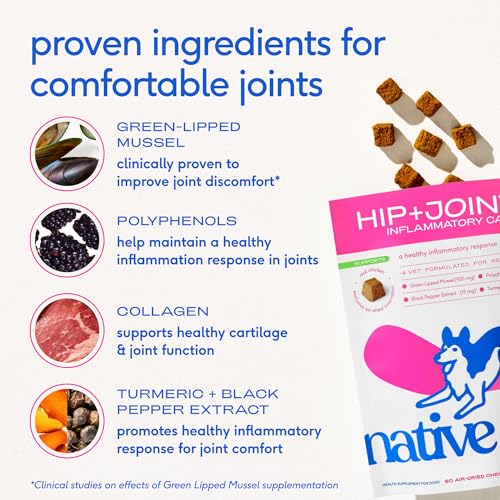 Native Pet Animal Nutritional Supplement in 60 Servings, Inflammatory Care
