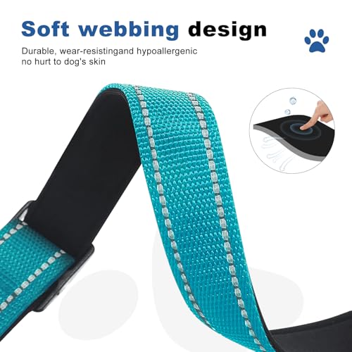 GDLKPS Animal Collar in XS:3/4" Wide for 11.5"-13.5" Neck, Azure Blue