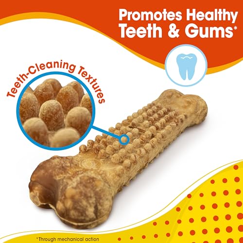 Nylabone Pet Food in 4 Count (Pack of 1), Brown