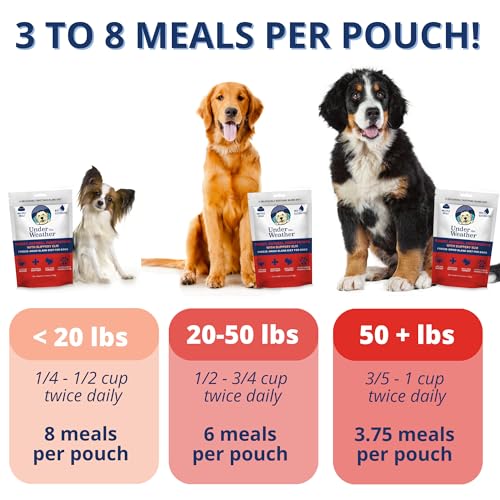 Under the Weather Pet Food in 6 Ounce (Pack of 1)