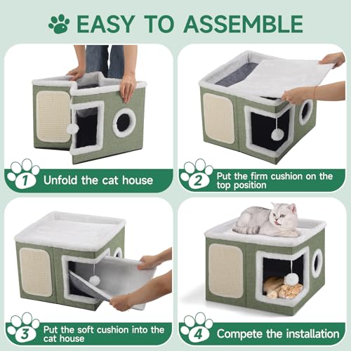 Shikha Animal Shelter in Large, Green