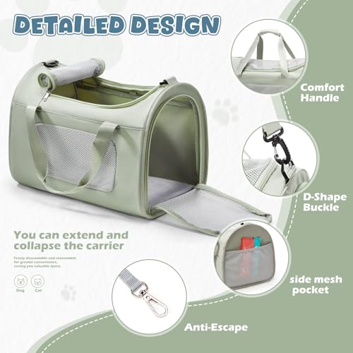 WEPLAN Animal Carrier in 17.7"L x 11.4"W x 12.5"H, A-Medium-Green
