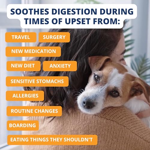 Under the Weather Pet Food in 6 Ounce (Pack of 1)
