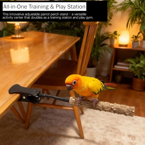 qumHmup Animal Perch in Small To Medium, Natural Wood