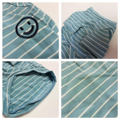 Wiz BBQT Pet Apparel in Pet XL - Chest 19.7", Blue