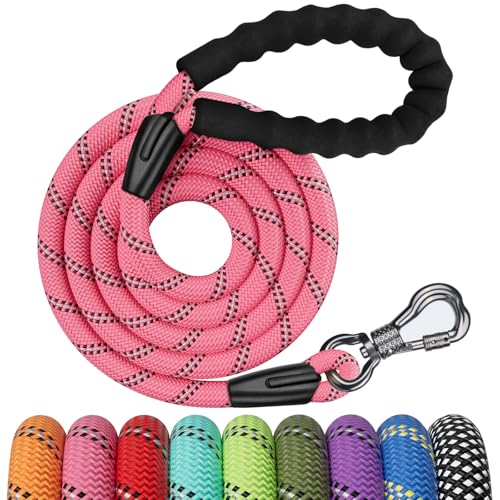 NTR Leash in 8ft*1/2", Pink