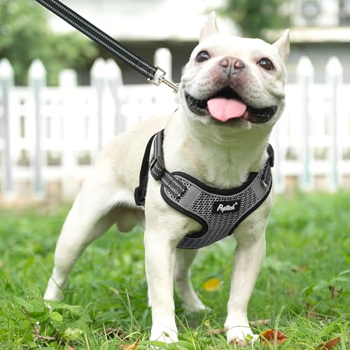 PUPTECK Animal Harness in L (25-33lbs, Chest 20"-25"), #1 Grey(Breathable Mesh)