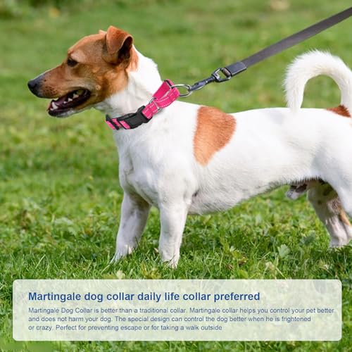 GDLKPS Animal Collar in XS:3/4" Wide for 11.5"-13.5" Neck, Pink