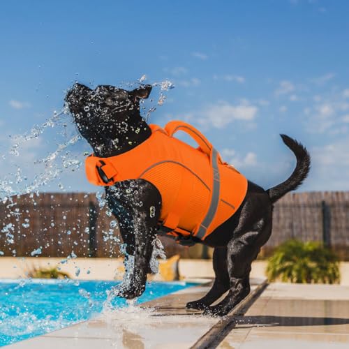 Queenmore Pet Apparel in X-Small, Orange