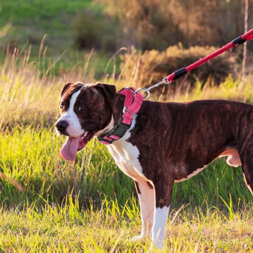 GDLKPS Animal Collar in XS:3/4" Wide for 11.5"-13.5" Neck, Pink