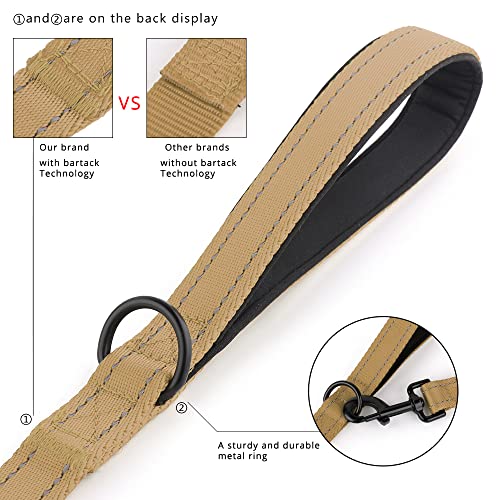 PLUTUS PET Leash in 4 FT, Brown
