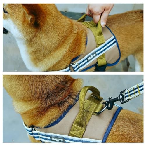 Blueberry Pet Animal Harness in Medium, Blue-gray and Olive