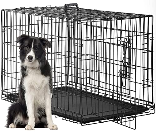 FDW Animal Cage in 48 Inch, Black