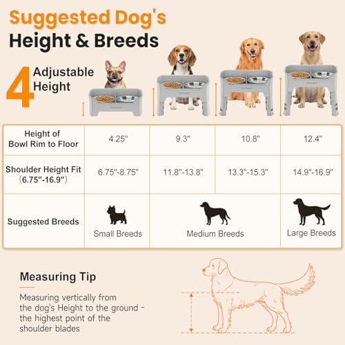 URPOWER Pet Feeder in Medium, Light Grey