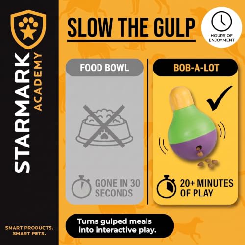 Starmark Pet Toy in Small, Green, purple, and yellow