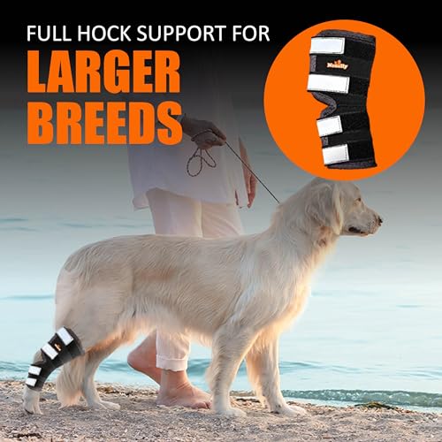 NeoAlly Pet Supplies in X-Small, Black