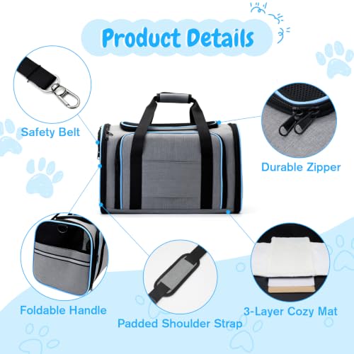 Srinlon ㅤ Animal Carrier in 18.0"L x 11.0"W x 11.0"H, Blue