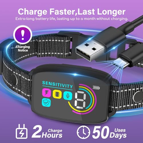 XCPP Animal Collar in Black