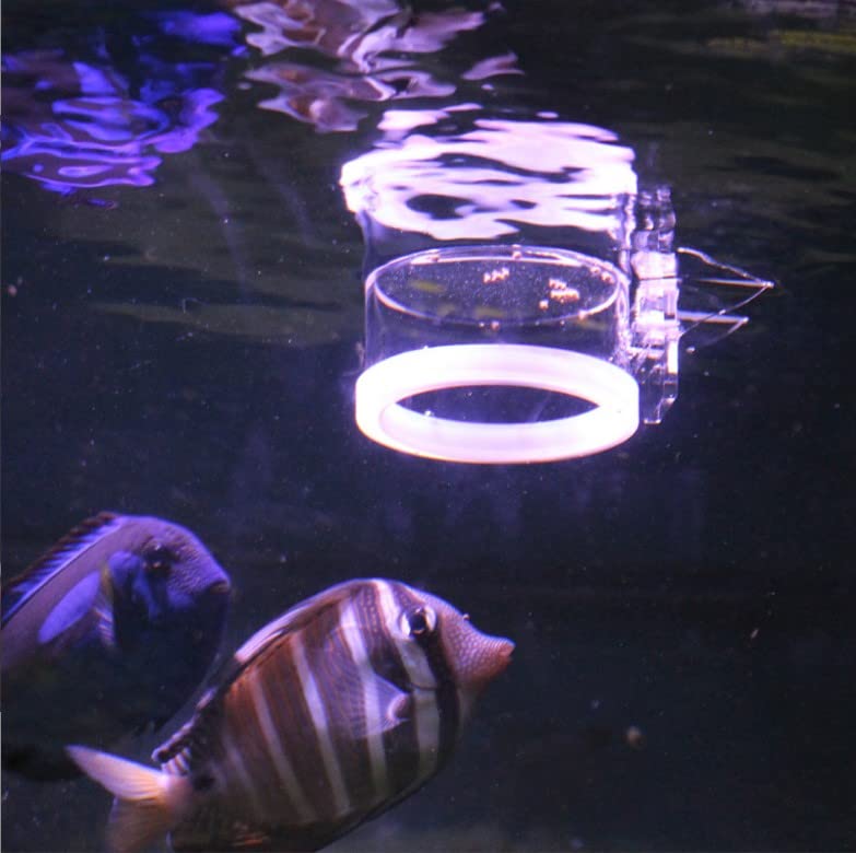 TOPINCN Pet Feeder in Clear