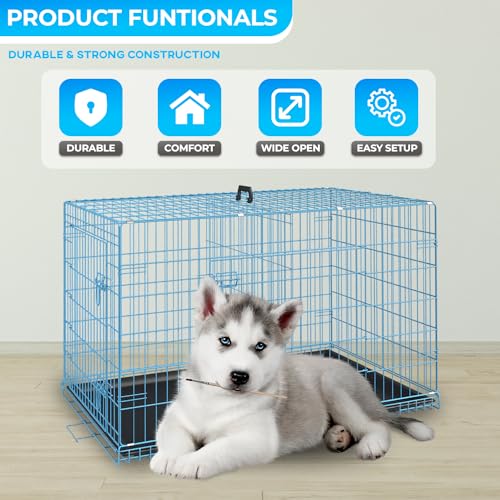 FDW Animal Cage in 30.0"L x 18.0"W x 20.0"H, Blue