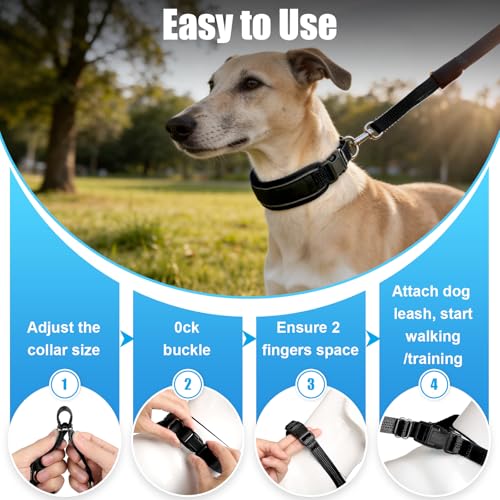 NozlaID Animal Collar in XL(23"-28"), Black