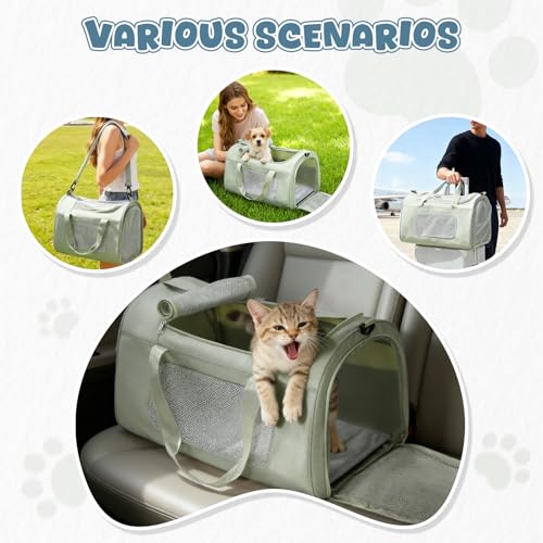 WEPLAN Animal Carrier in 17.7"L x 11.4"W x 12.5"H, A-Medium-Green