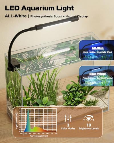 minilake Vivarium in 3 Gallon, Transparent