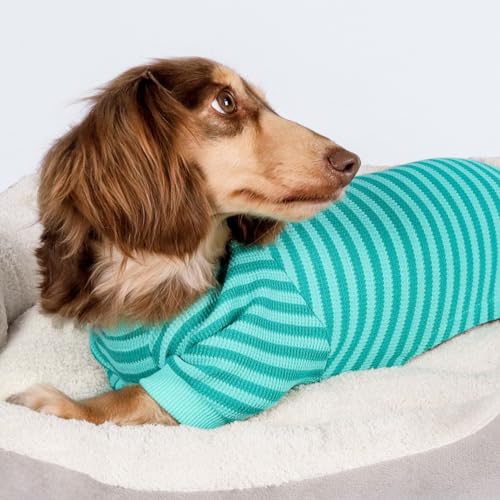 Fitwarm Pet Apparel in X-Small, DarkCyan