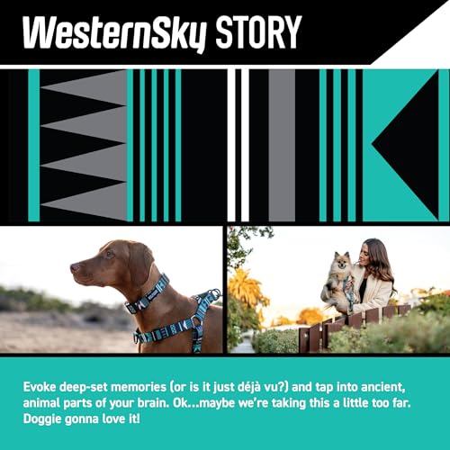 Wolfgang Man & Beast Animal Collar in Small (5/8 Inch x 8-12 Inch), WesternSky Print