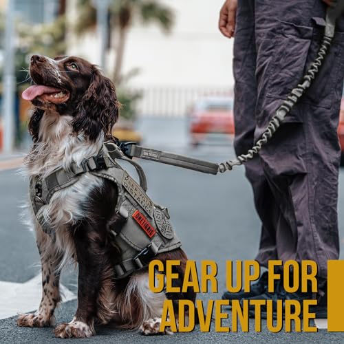 ONETIGRIS Leash in 85cm-118cm/33.5in-46.5in, Grey