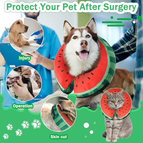 Cneo Animal Recovery Collar Cone in S（neck 4"-7"）, Watermelon