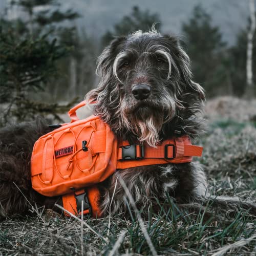 ONETIGRIS Pet Supplies in Small, Orange
