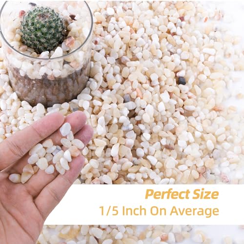 CJGQ Raw Materials in 2.4 LB, Mix Color Style 1