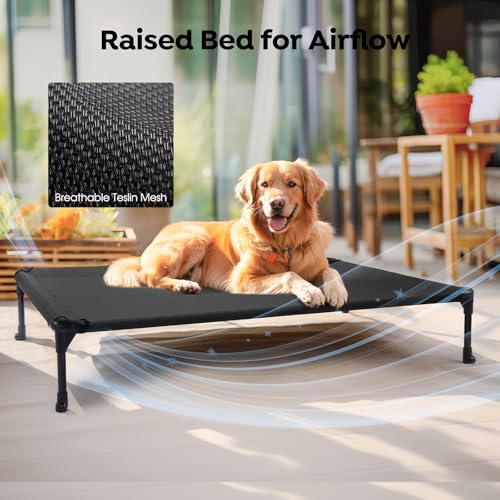 Veehoo Pet Bed Mat in 42.0"L x 30.0"W x 7.0"Th, 2Packs- Black