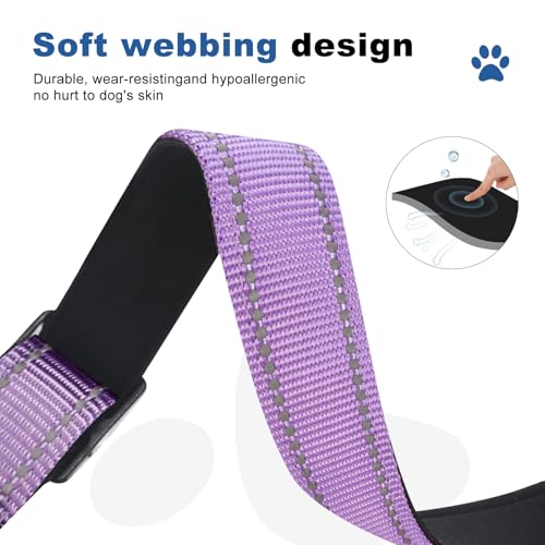 GDLKPS Animal Collar in S:1"Wind for 12.5"-15.5"Neck, Lavender