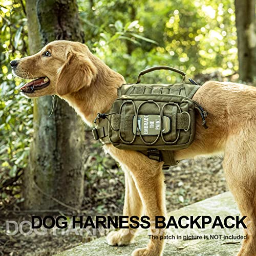 ONETIGRIS Pet Supplies in Small, Green