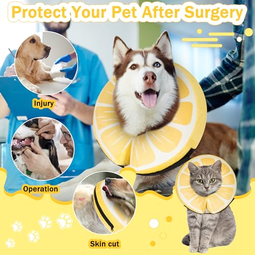 Cneo Animal Recovery Collar Cone in S（neck 4"-7"）, Lemon