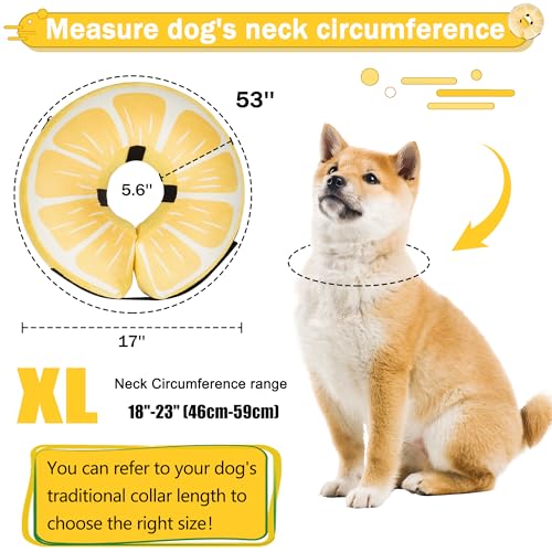 Cneo Animal Recovery Collar Cone in XL（neck 18"-23"）, Lemon