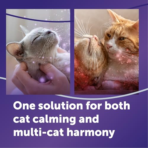 FELIWAY Aroma Diffuser in 1 Pack, Translucent