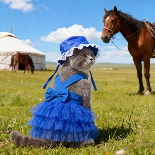 apott Pet Apparel in Small, Blue