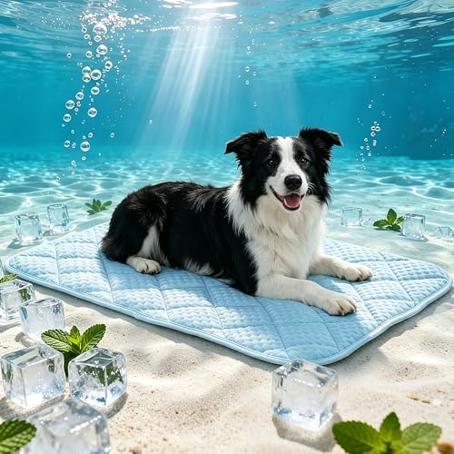Petvolve Pet Bed Mat in Large - 35.4 x 23.6 Inch, Sky Blue