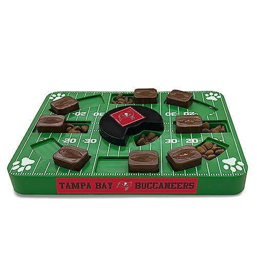 Pets First Pet Feeder in Standard, TAMPA BAY BUCCANEERS