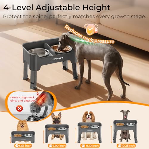 URPOWER Pet Feeder in Small, Grey