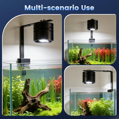 AQQA Electric Light in up to 48 Inches, Black