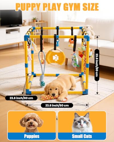 Grevigily Pet Toy in 23.6x15.7x15.7inch, Yellow + Blue