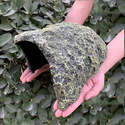 ZXUAQNOE Animal Shelter in gray