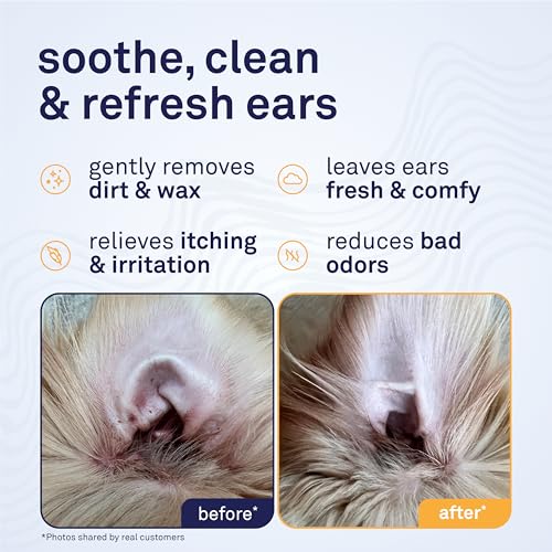 Petpost Pet Supplies in Regular, Ear