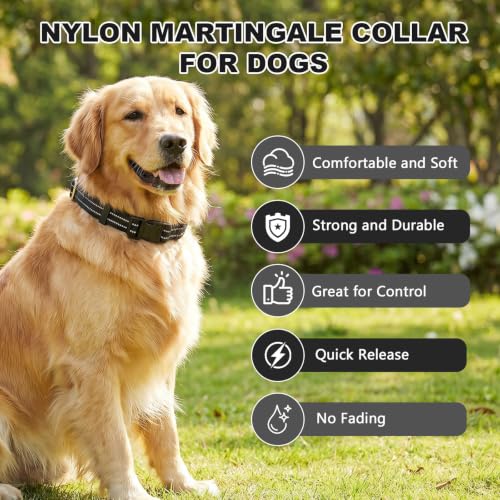Hikiko Animal Collar in X-Small, Black
