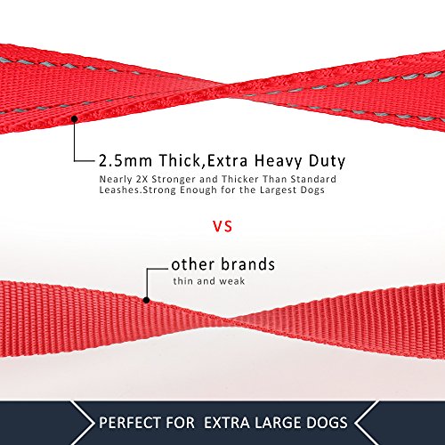 PLUTUS PET Leash in 4 FT, Red
